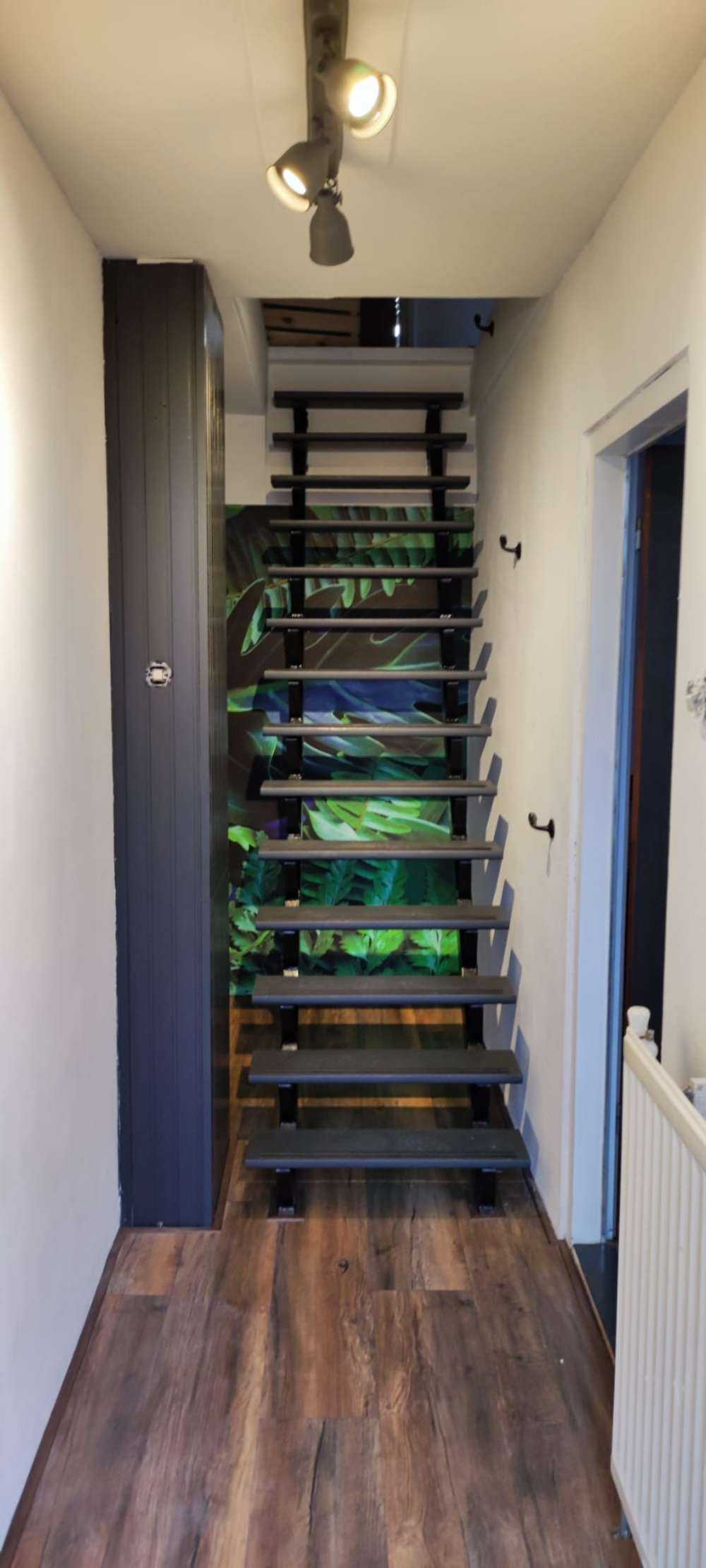 Foglie verdi della giungla