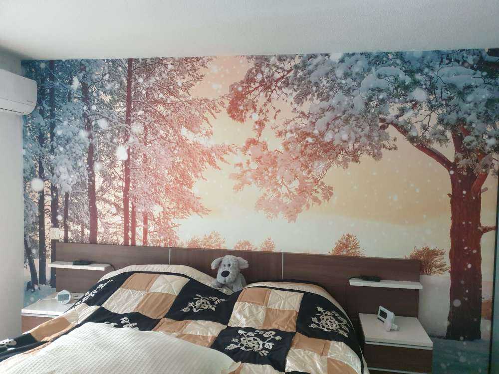 Alberi di pino con neve