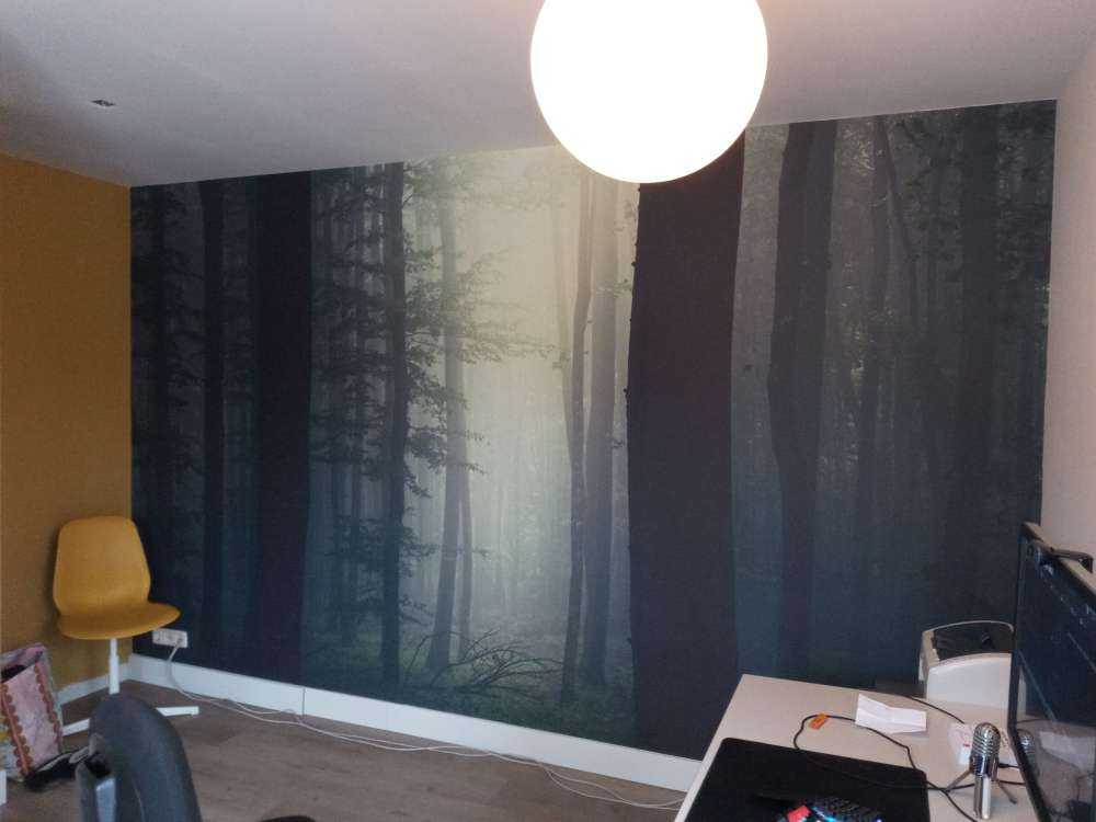 Raggio di sole nella foresta