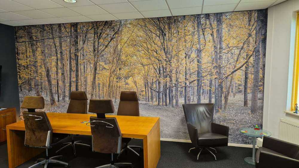 Strada forestale in autunno