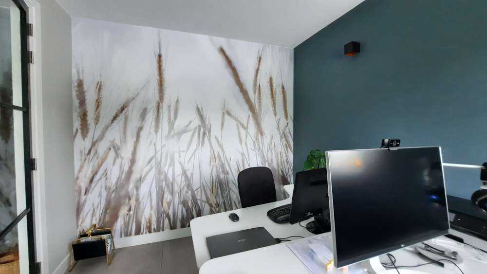 Raggi di sole attraverso il grano