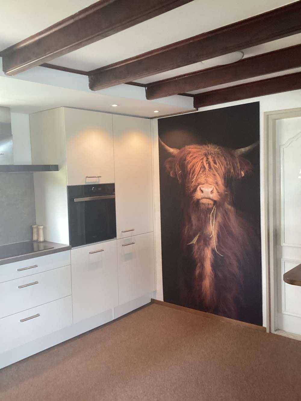 Ritratto scozzese Highlander