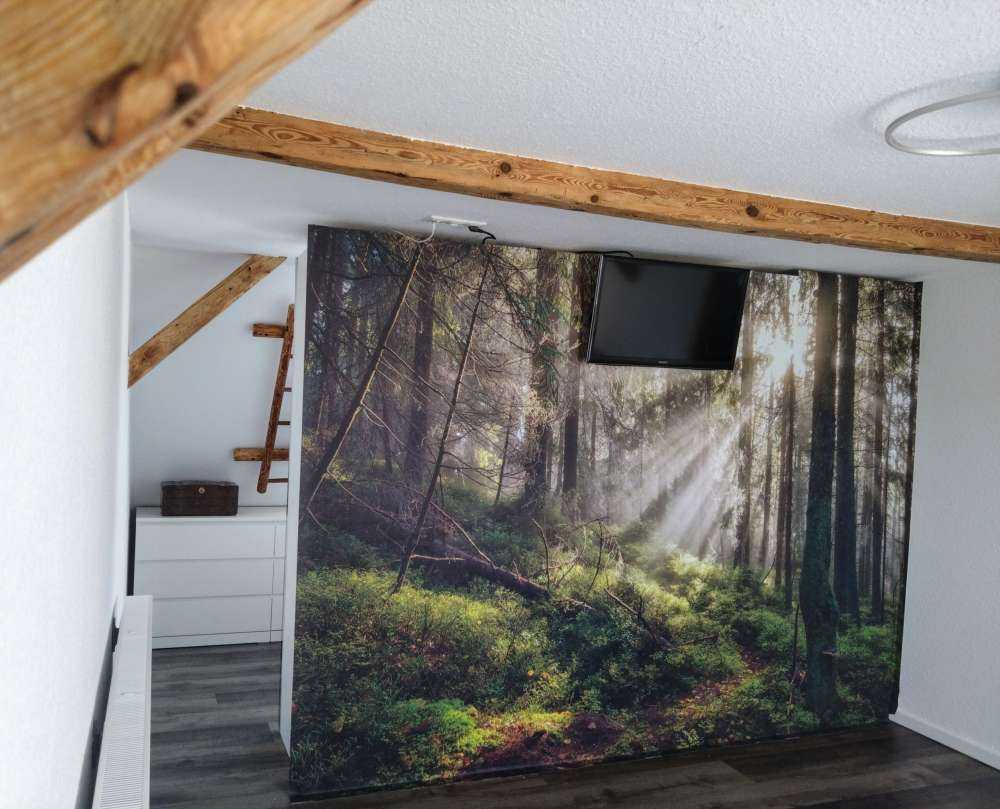 Foresta autunnale con sole