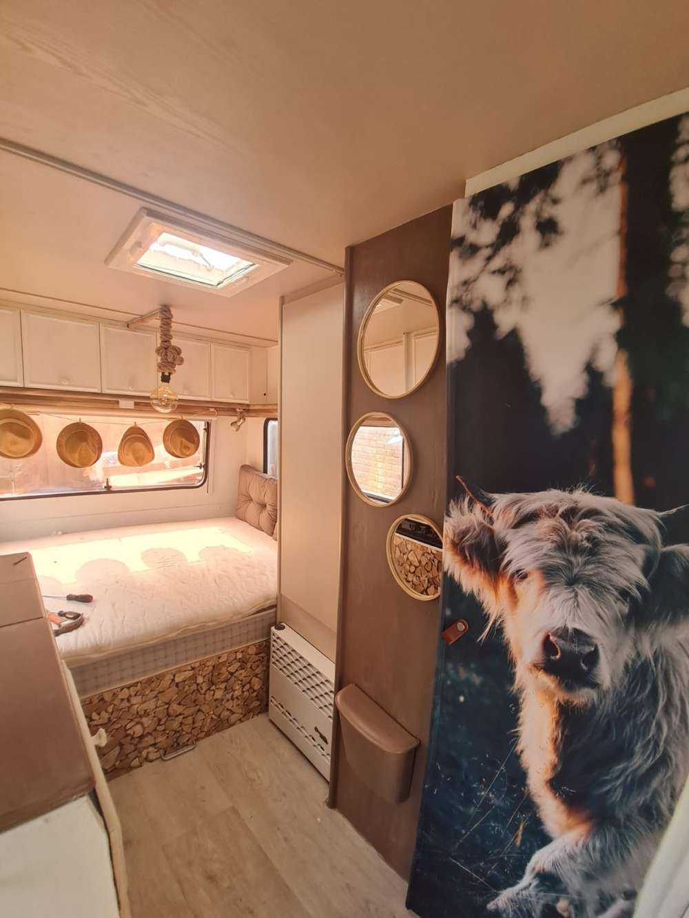 Cucciolo di Highlander scozzese