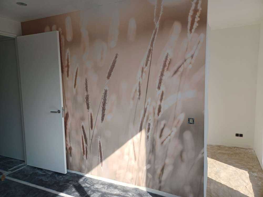 La luce del sole sul prato