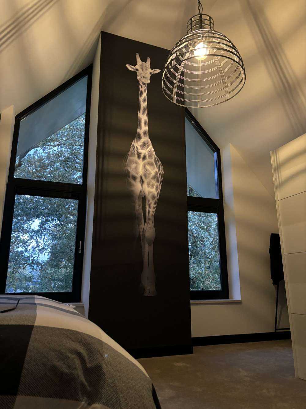 Giraffa in bianco e nero