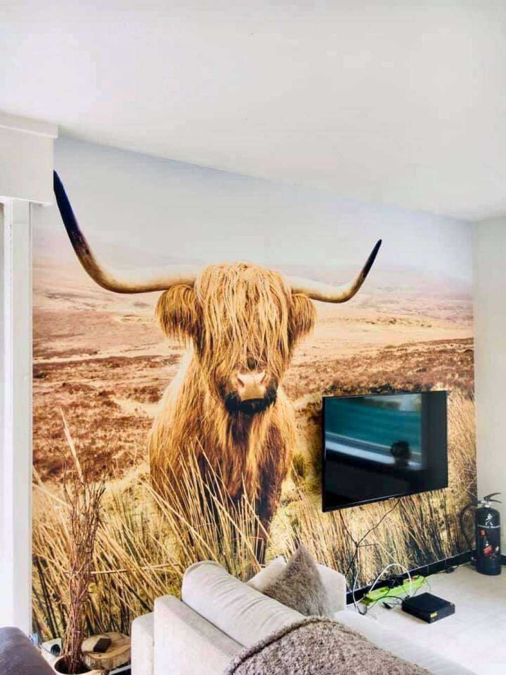 Highlander scozzese con canna