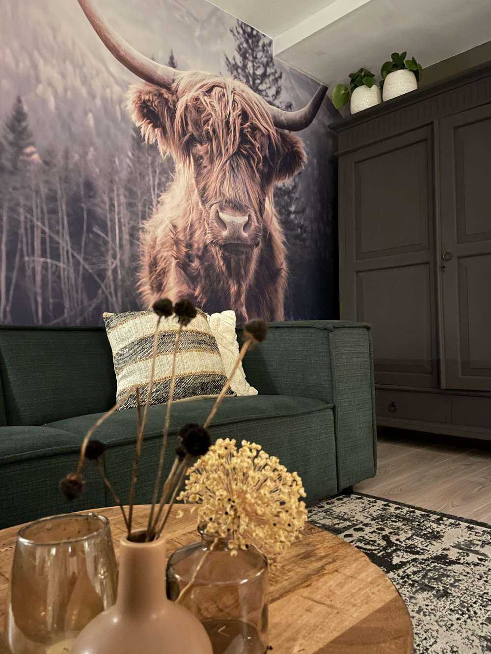 Highlander scozzese vicino alla foresta