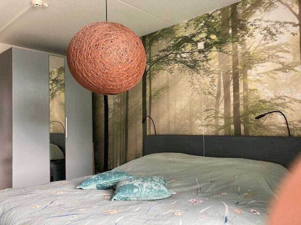 Foresta verde nella nebbia