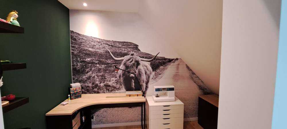 Highlander scozzese su una strada