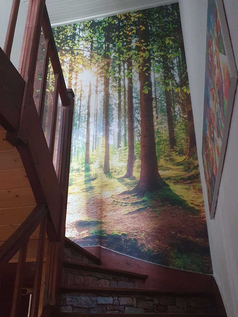 L'alba nella foresta