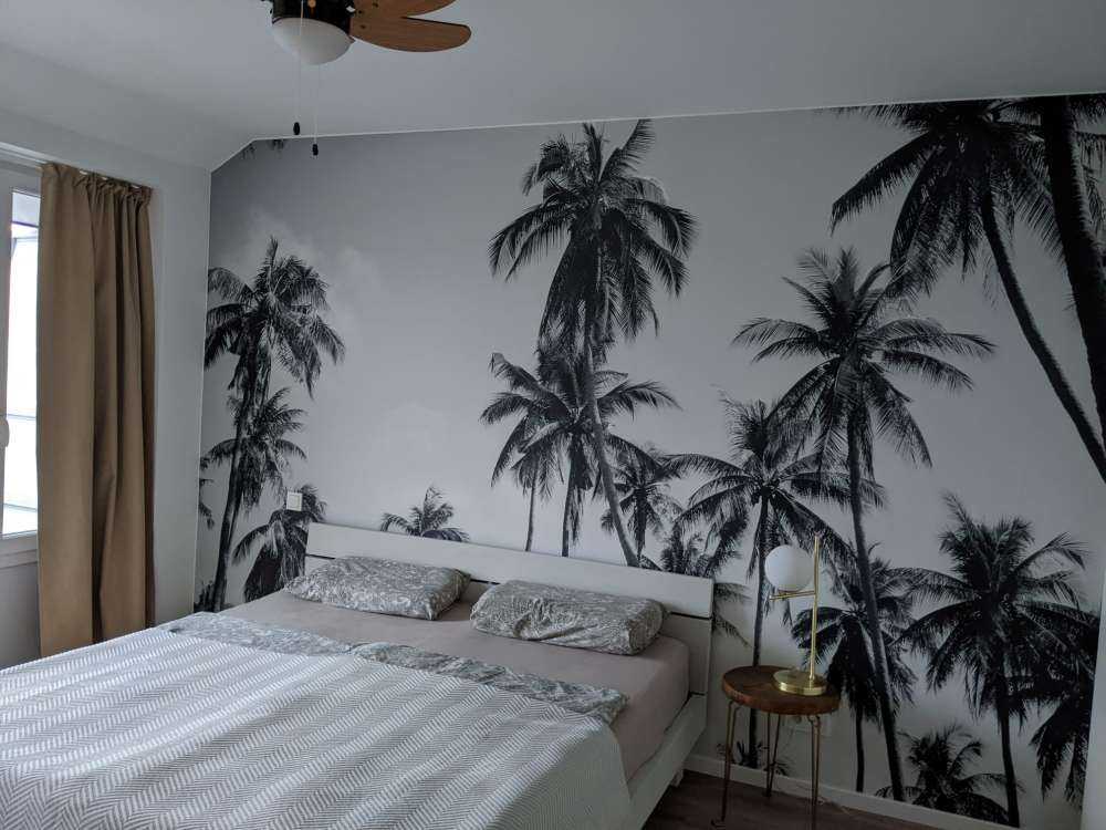 Palme in bianco e nero