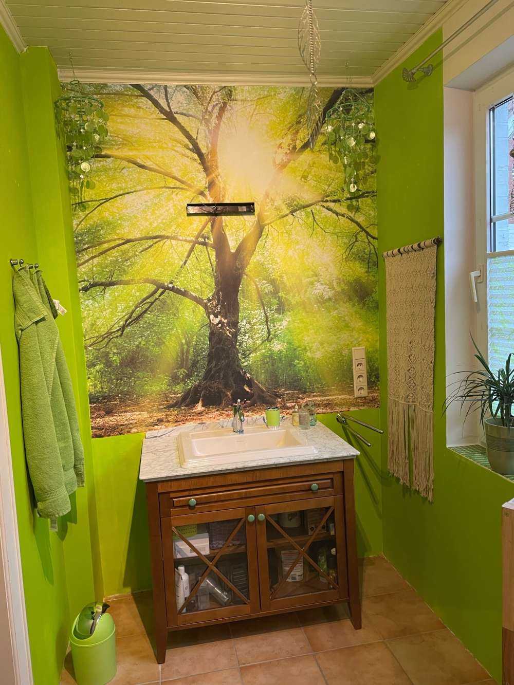 Grande albero con sole