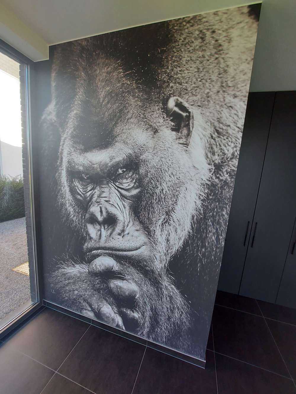 Immagine ravvicinata di un gorilla