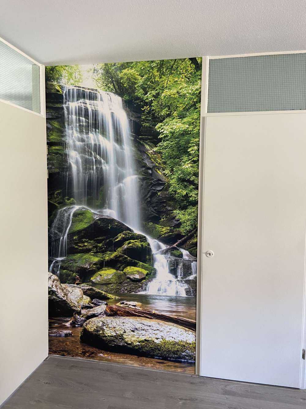 Cascata della giungla