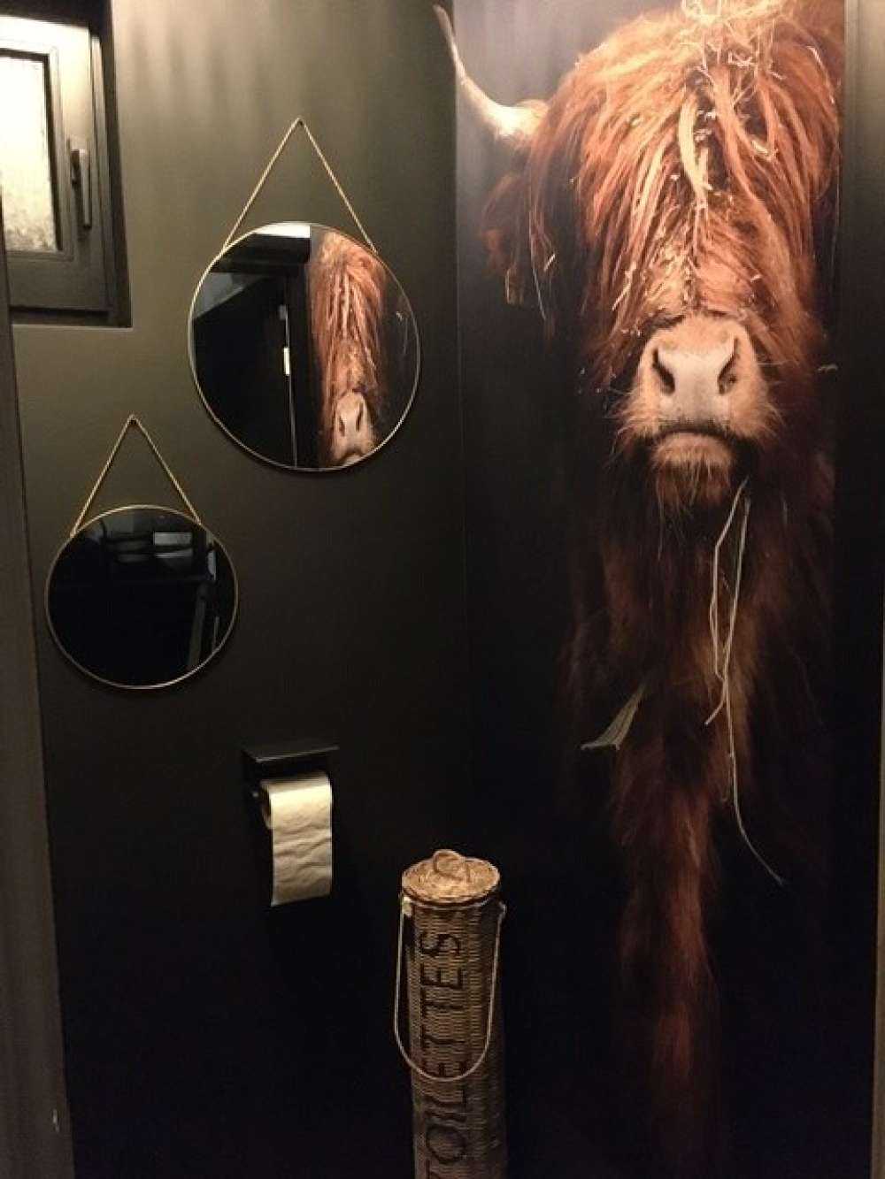 Ritratto scozzese Highlander