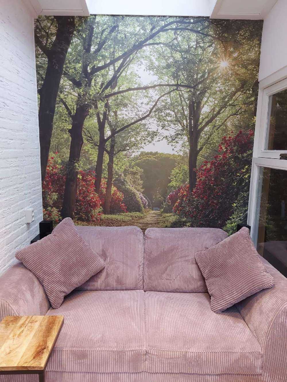 L'alba al sentiero con i rododendri