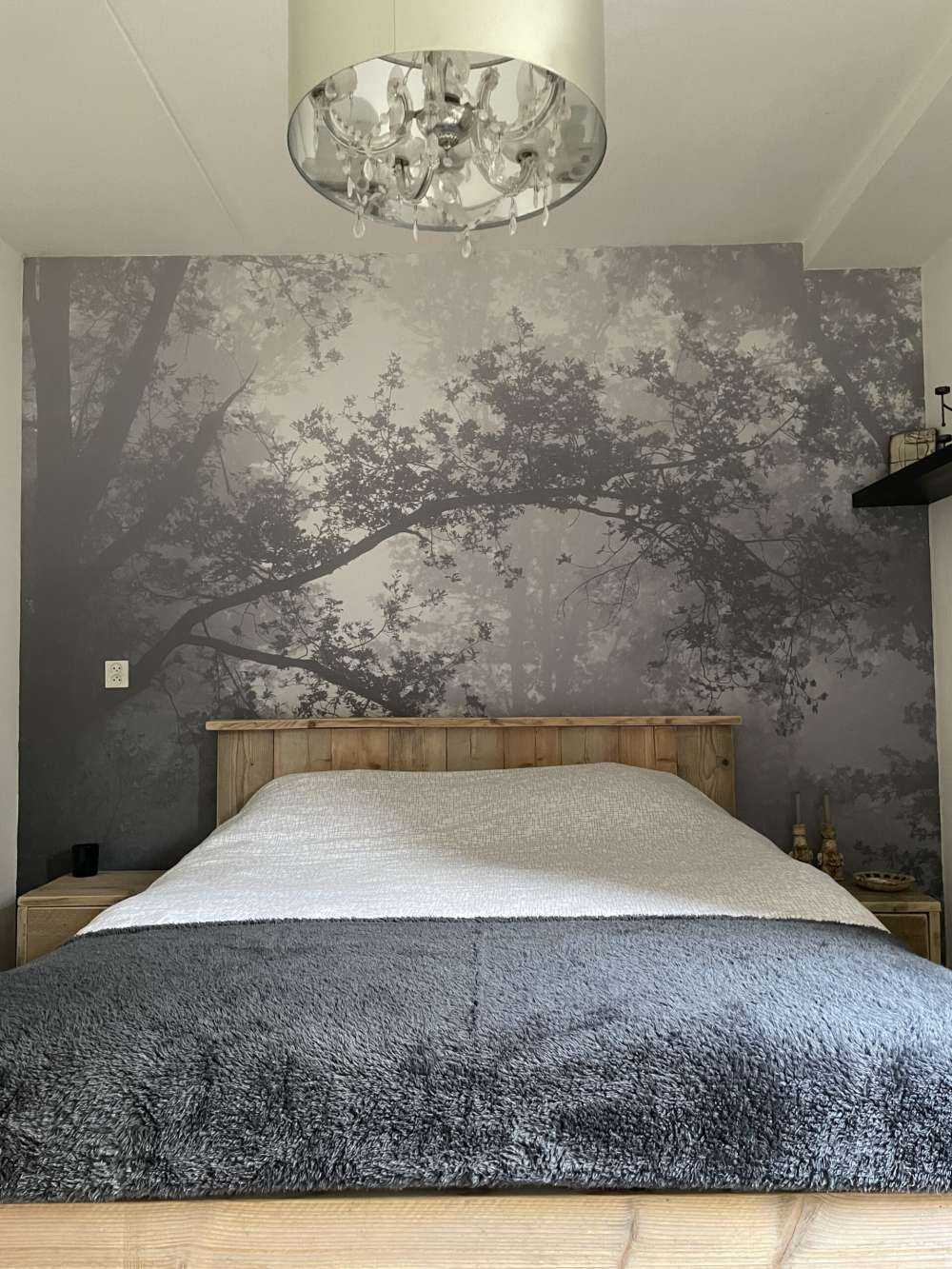 Una bella foresta nella nebbia