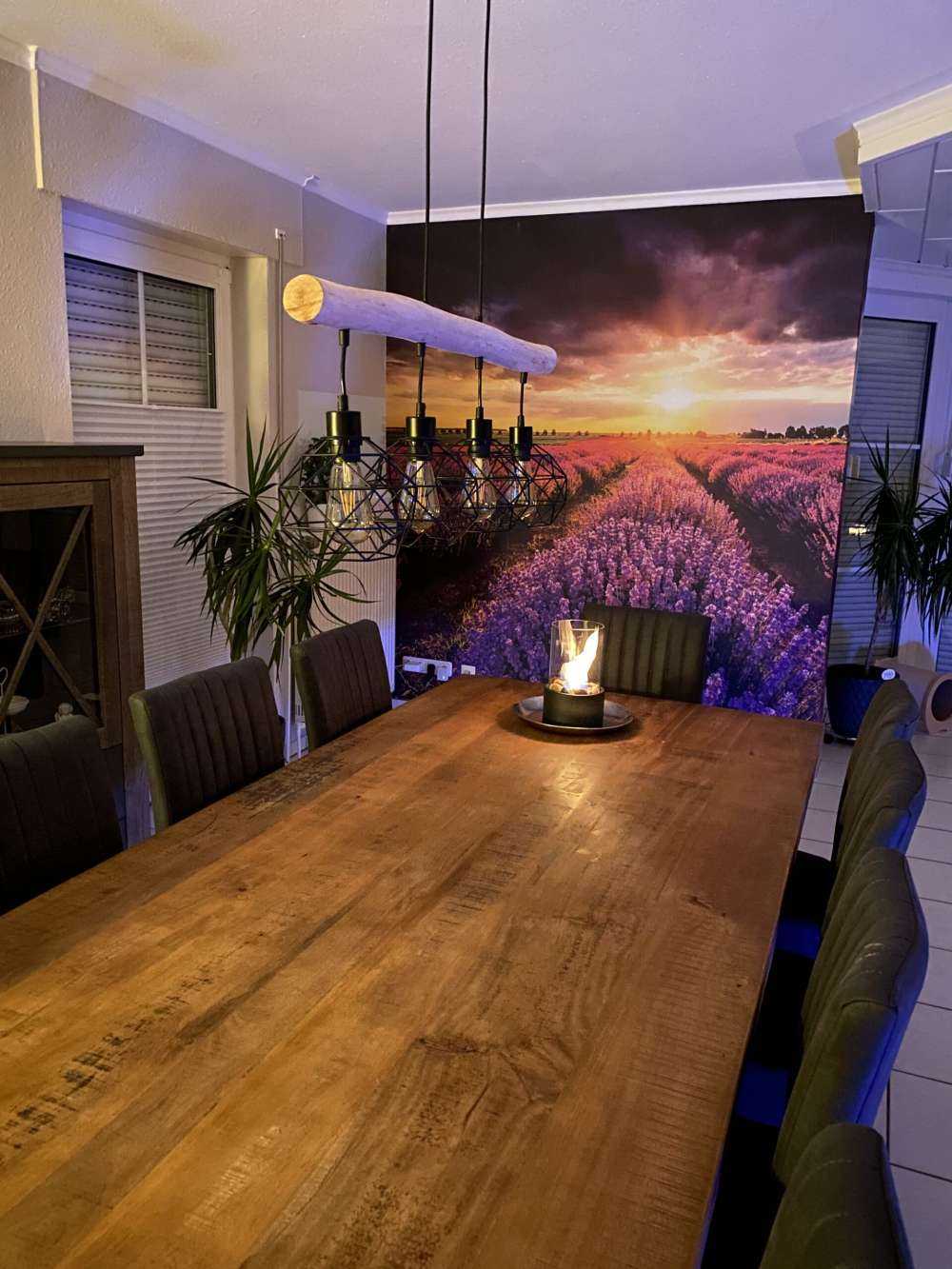 Grande campo pieno di lavanda