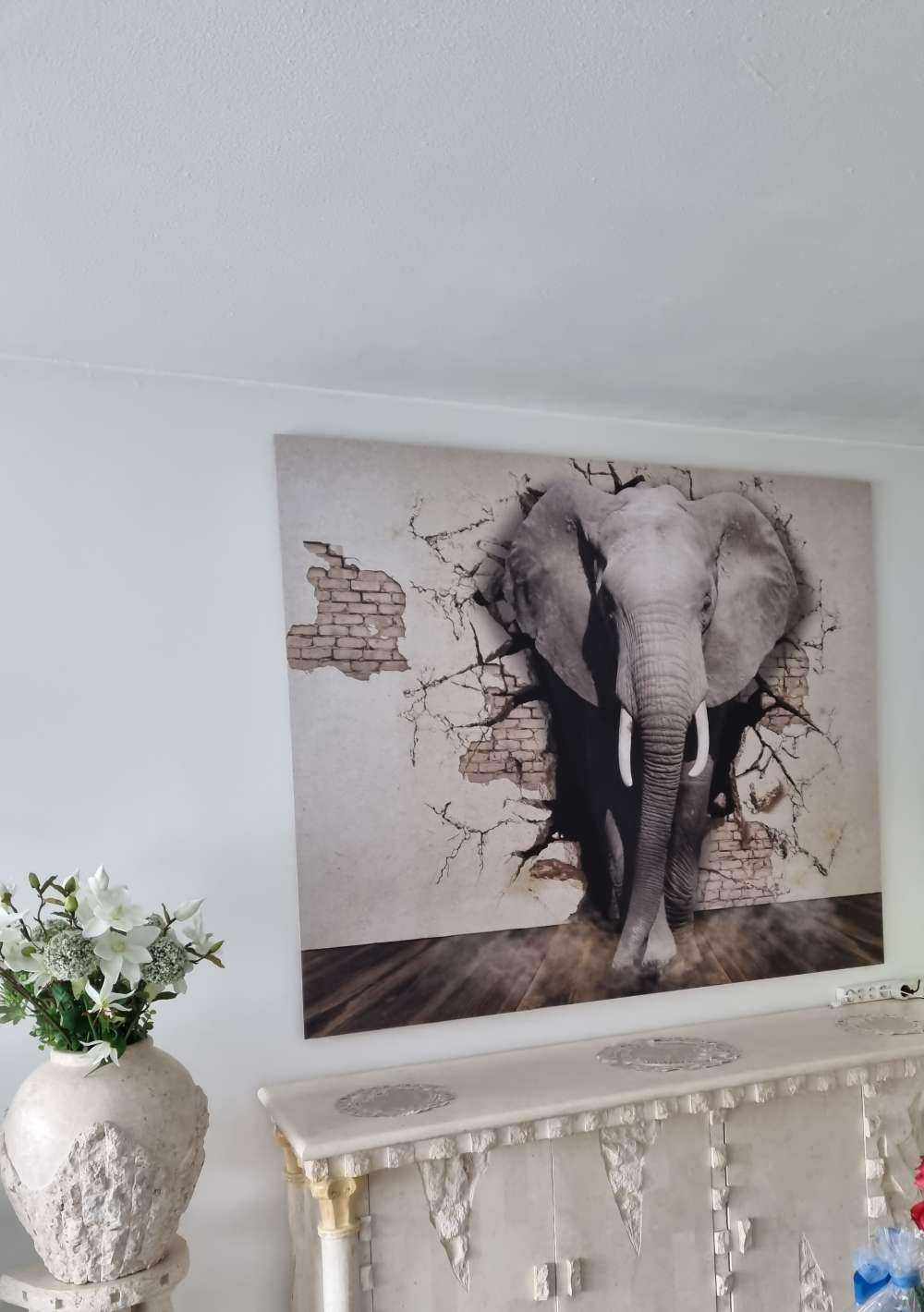 Elefante 3D dal muro