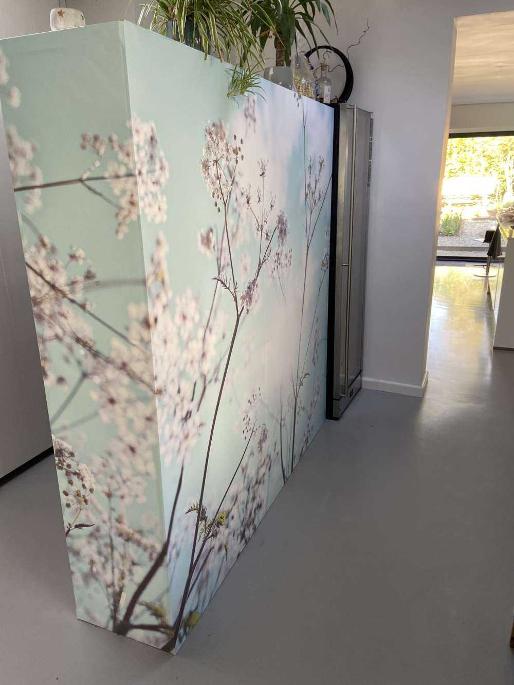 Mandorlo in fiore al sole