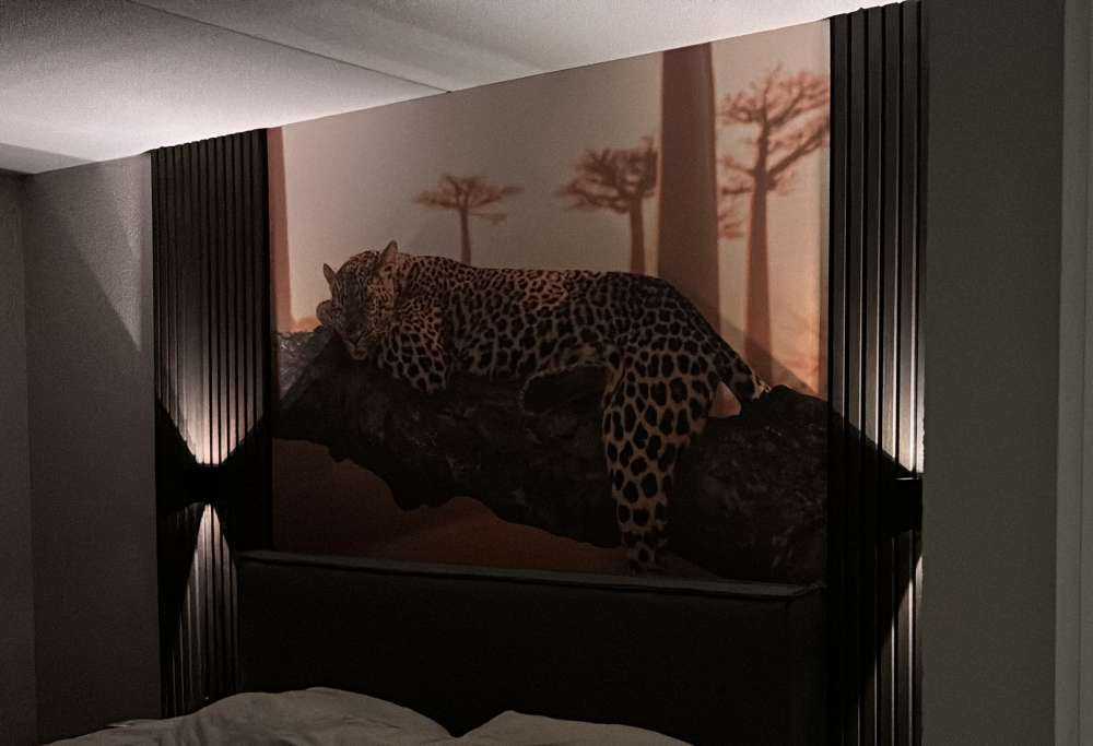 Leopardo addormentato