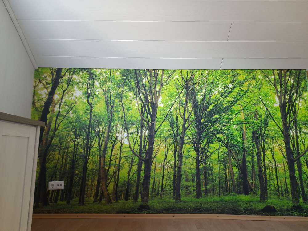 Foresta lussureggiante 