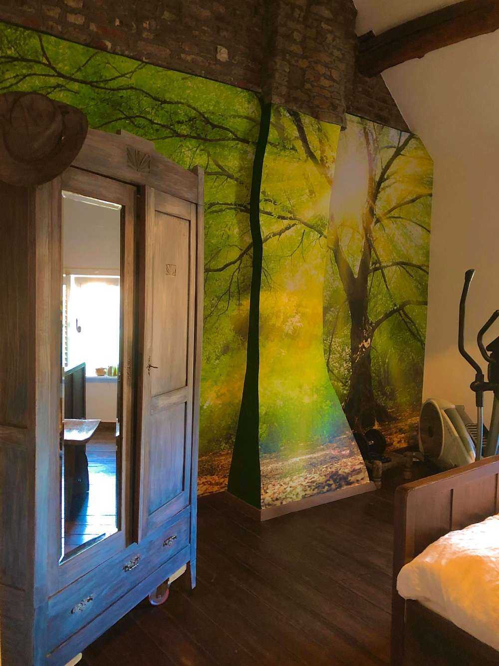 Grande albero con sole