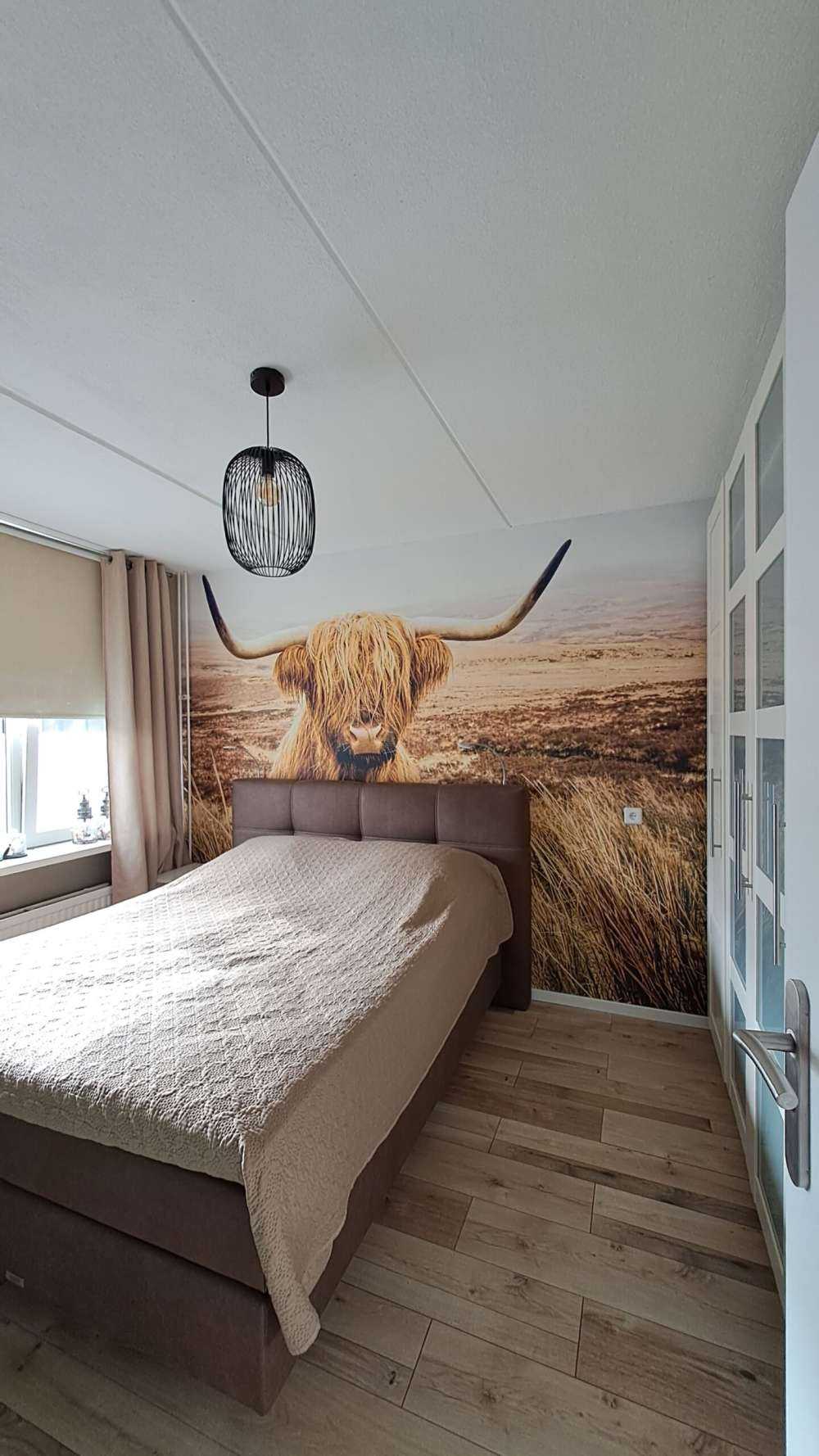 Highlander scozzese con canna