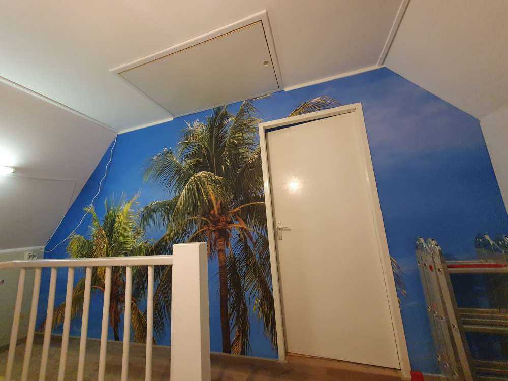 Spiaggia di sabbia tropicale