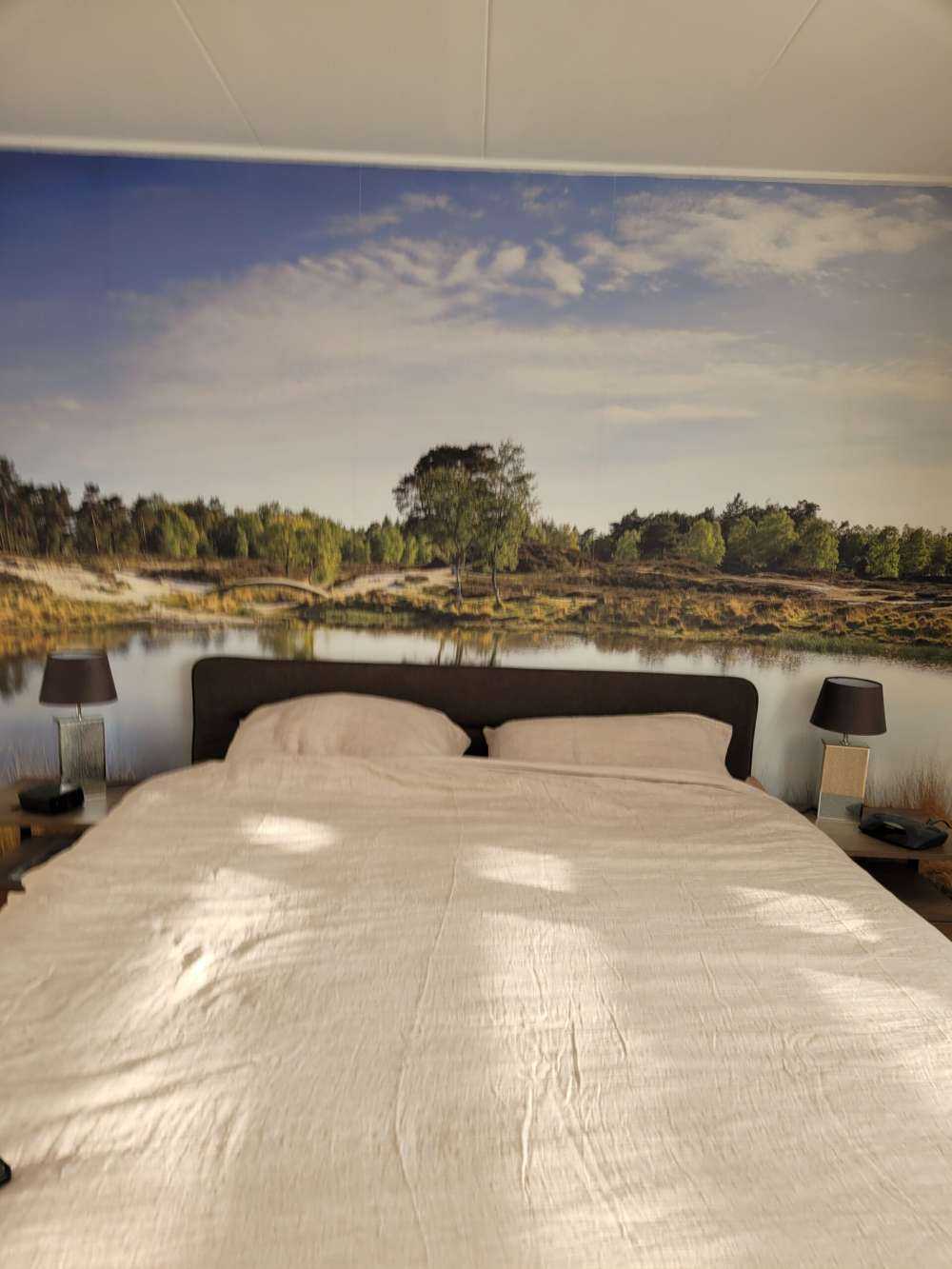 Un piccolo lago forestale nella zona brughiera 