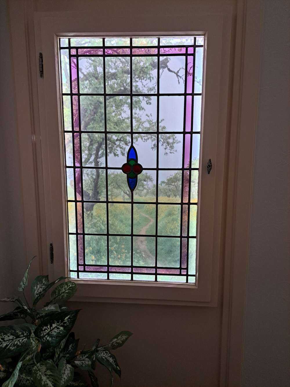 Sentiero attraverso colline con fiori gialli