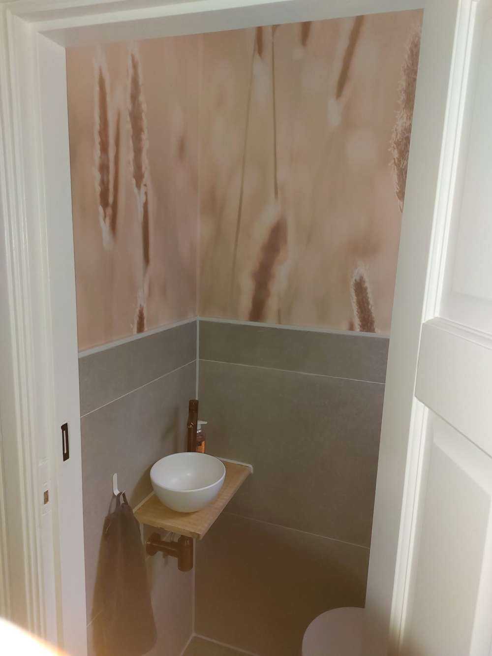 La luce del sole sul prato