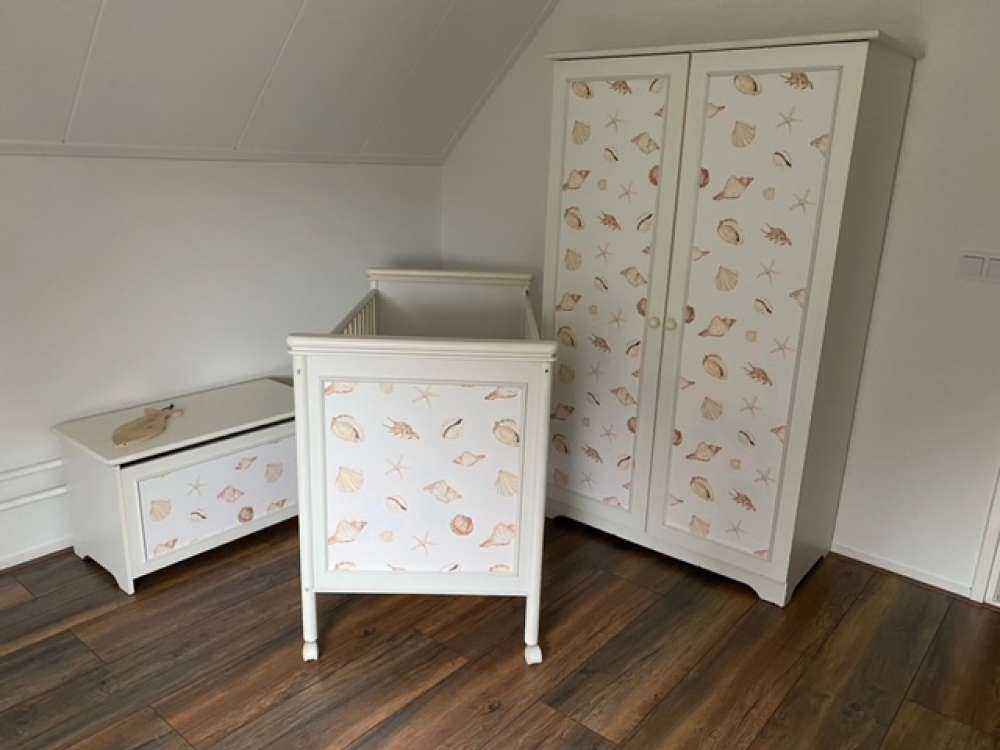 Acquerello conchiglie