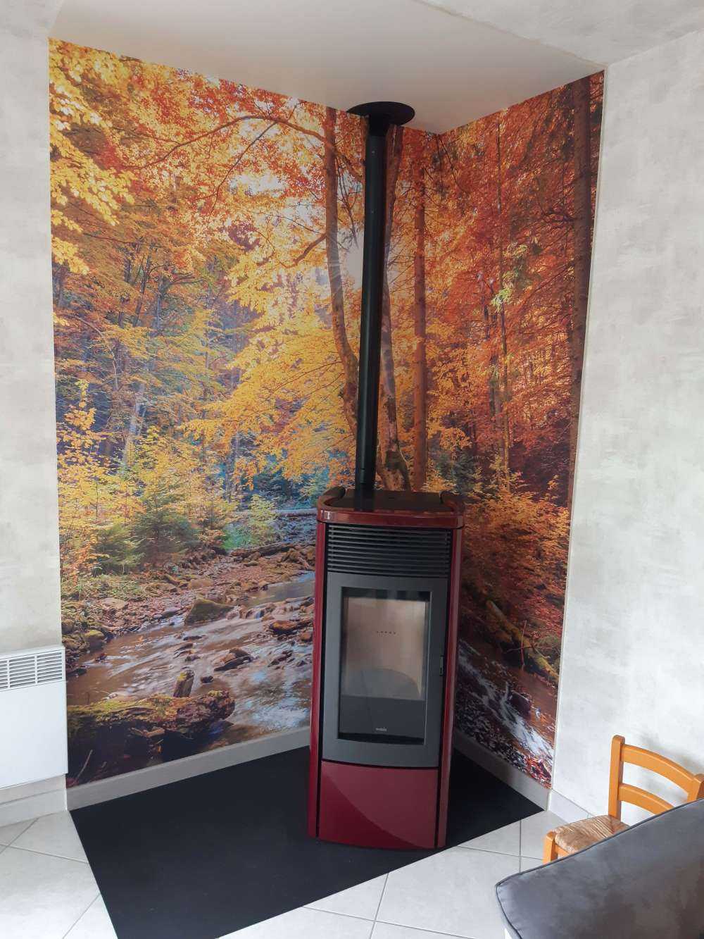 Autunno nella foresta selvaggia