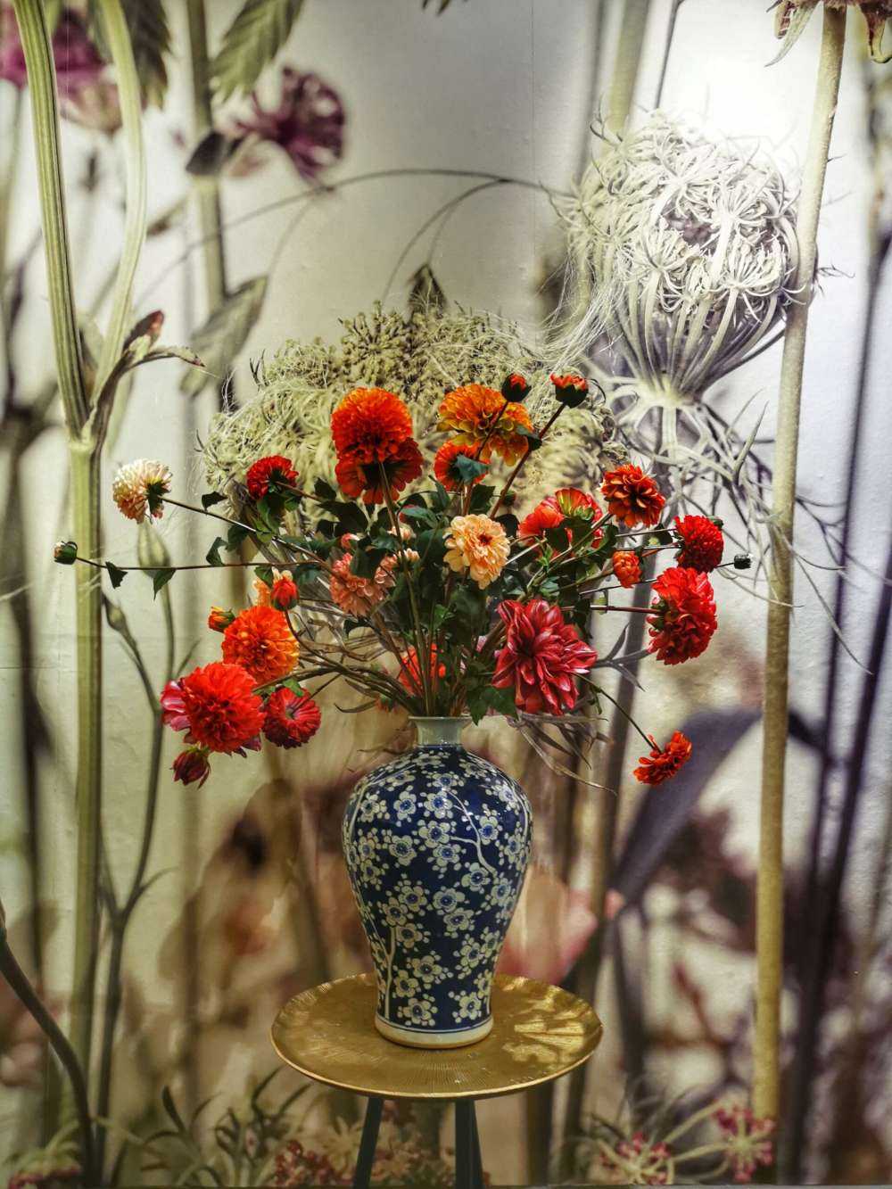 Fiori in primo piano