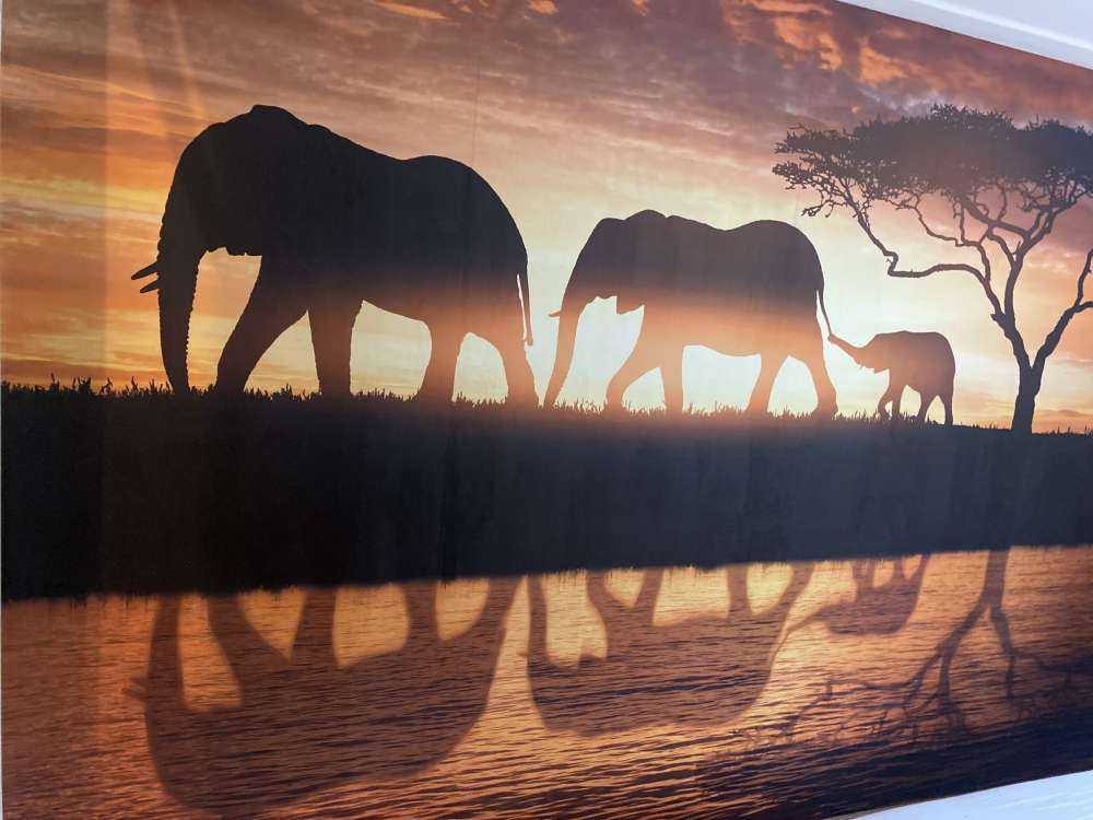 Elefanti nella savana