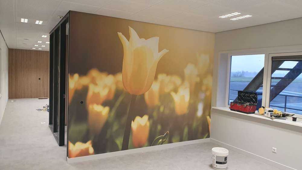 Tulipano giallo da vicino