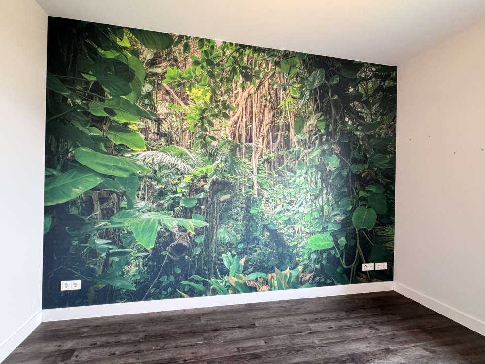 Rami nella foresta pluviale