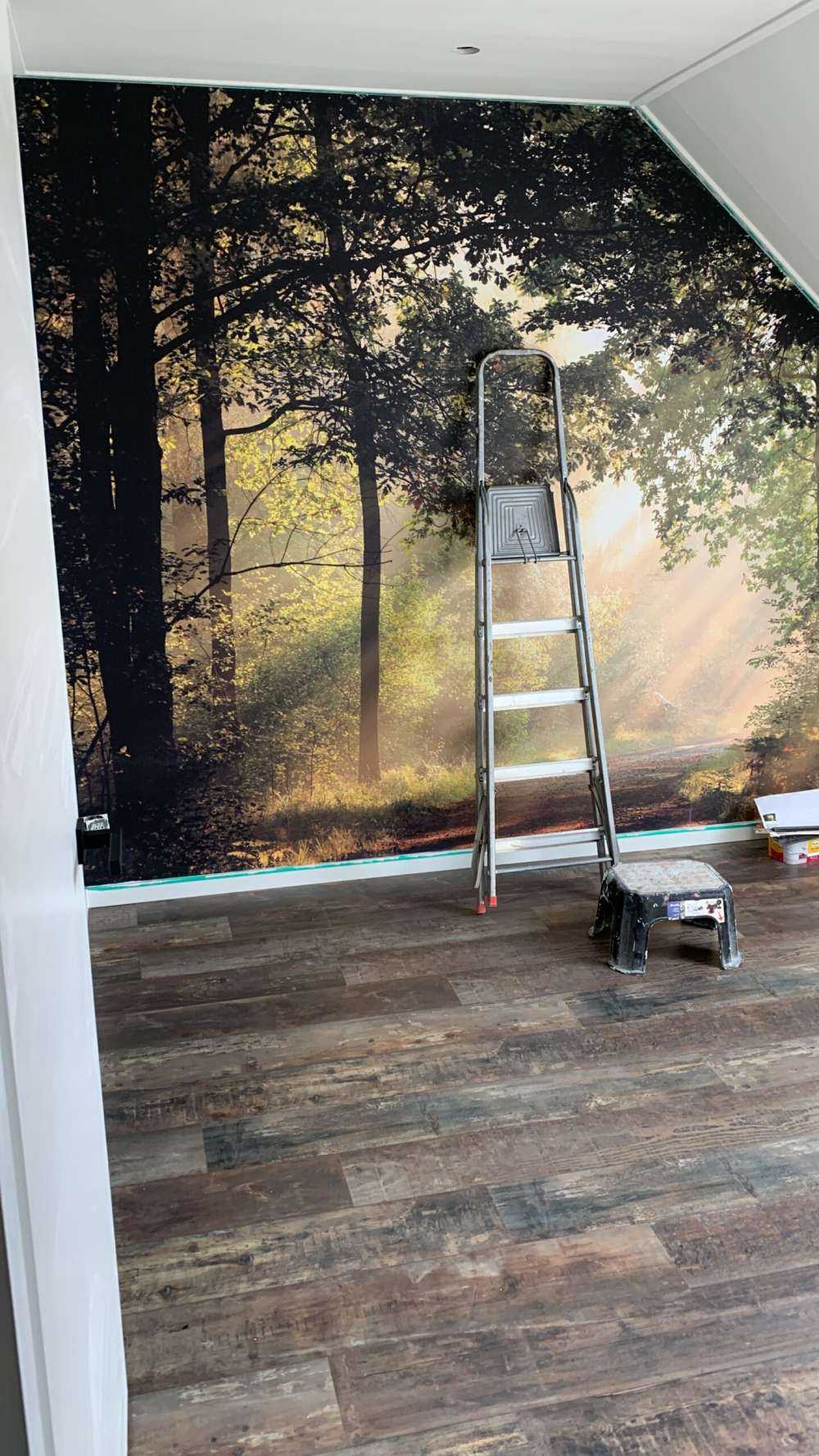 Nebbiosa mattina di primavera