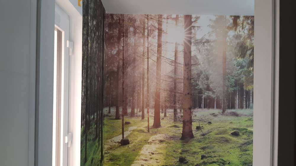 Foresta di conifere con muschio