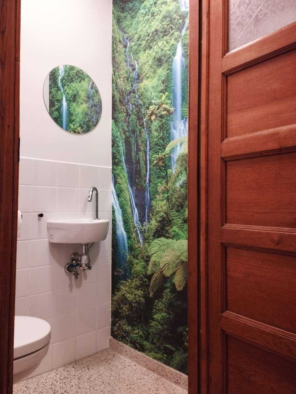 Giungla verde e cascate