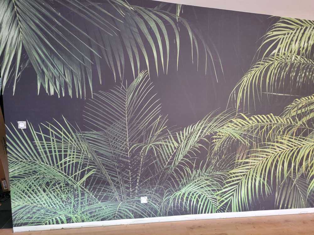 Pianta con foglie verdi