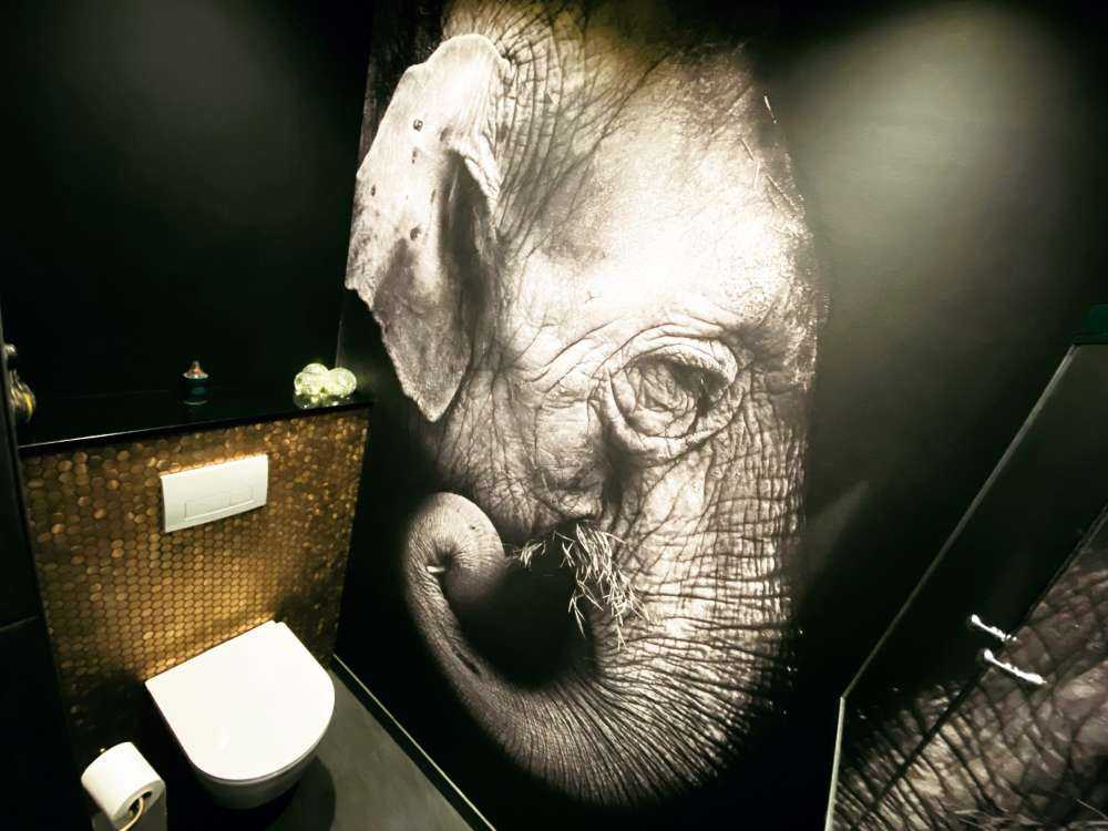 Ritratto di elefante