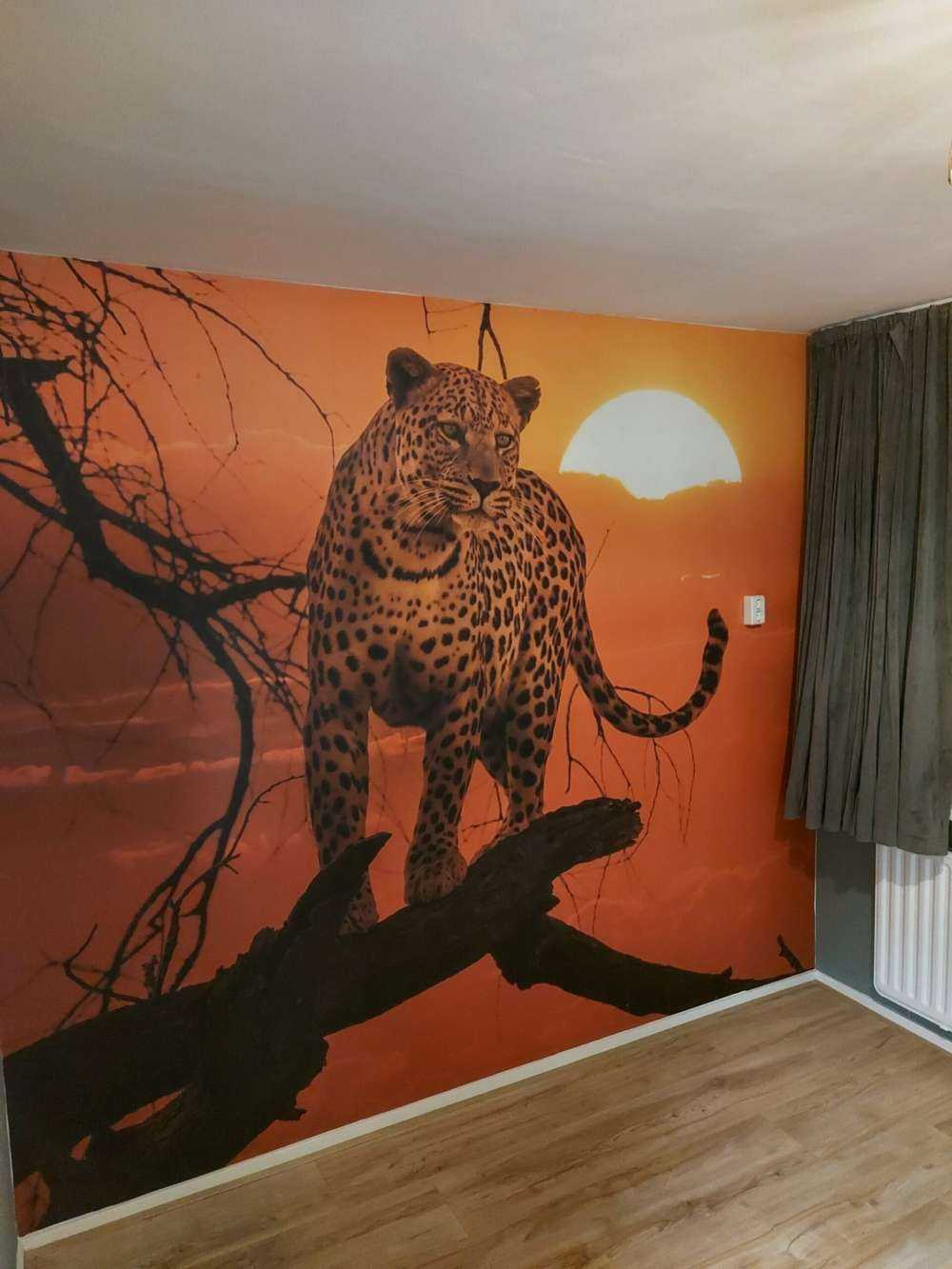 Leopardo con sole al tramonto