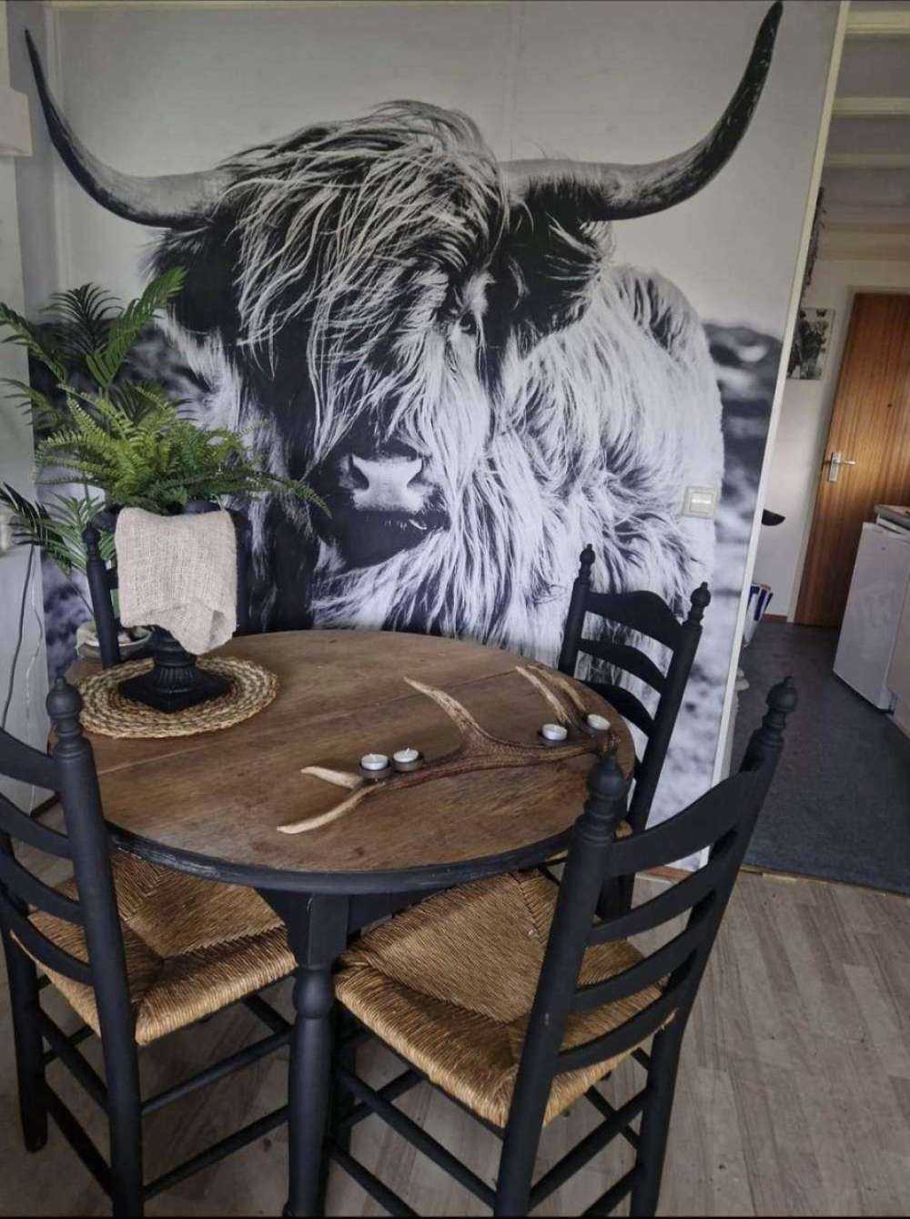 Highlander scozzese in bianco e nero