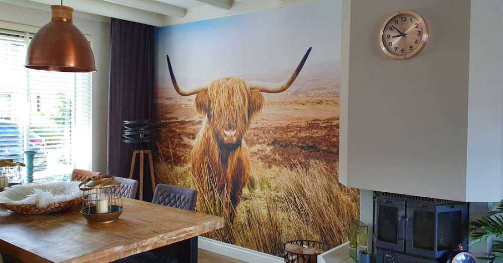 Highlander scozzese con canna