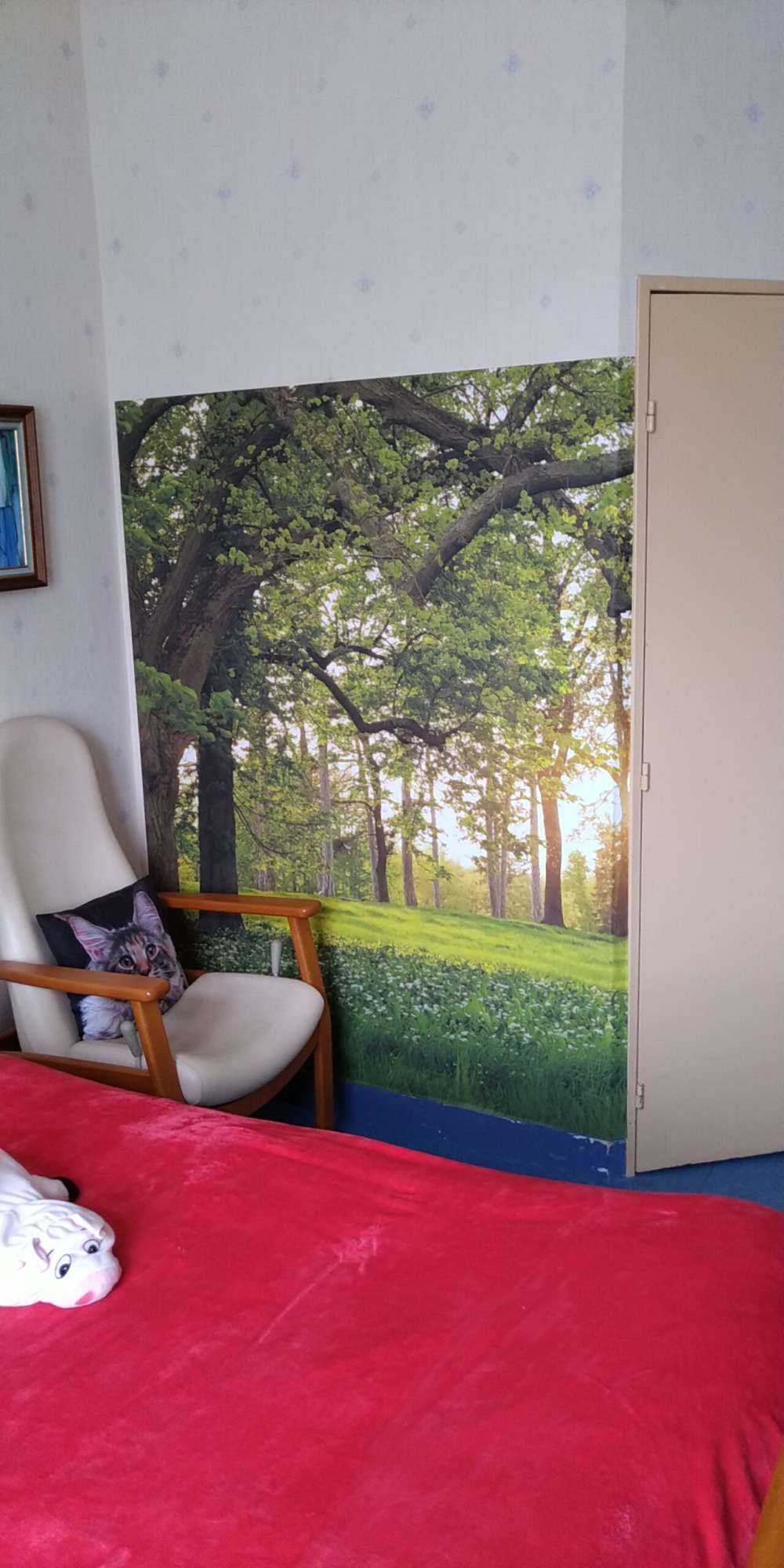 Spazio aperto nella foresta