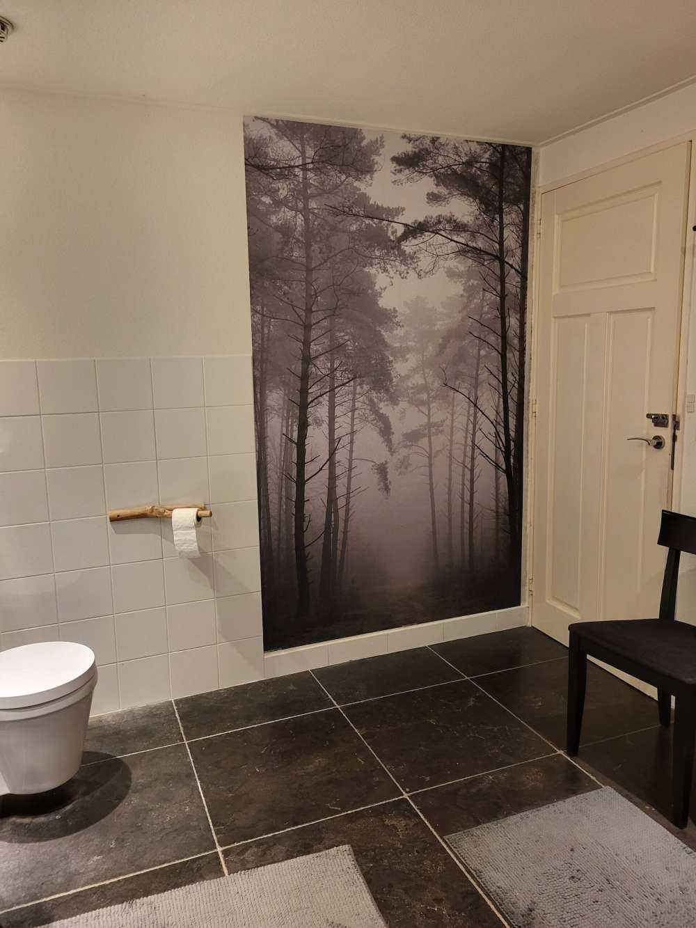 Sentiero nella foresta nebbiosa