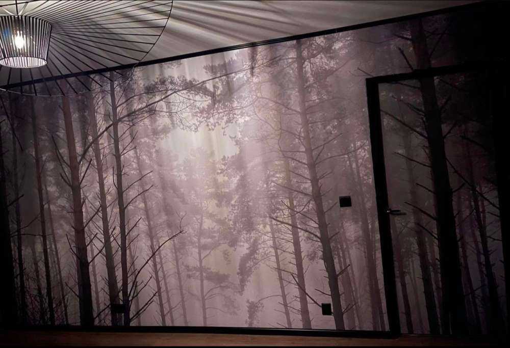 Sentiero nella foresta nebbiosa